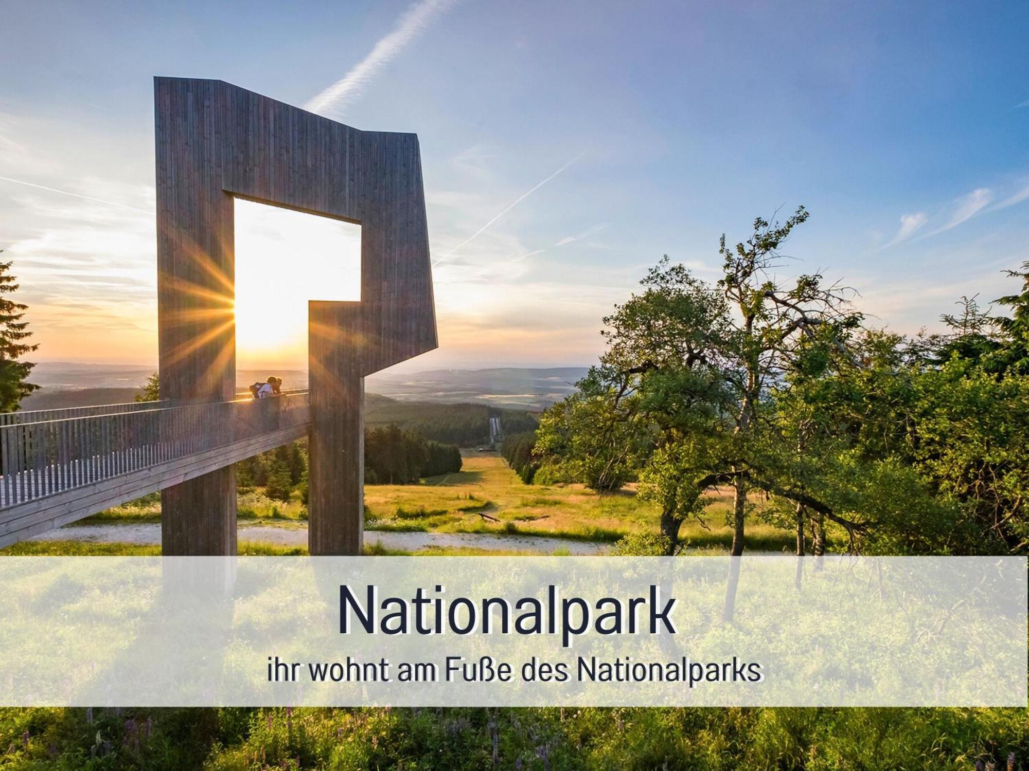 Natur-Chalet Zum Nationalpark Marie-Luise Inkl E-Auto Allenbach Exterior photo